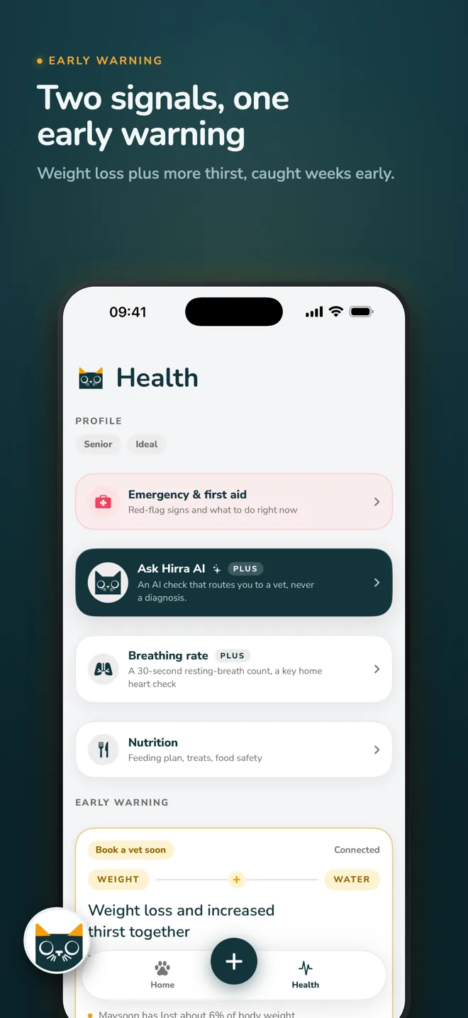 Hirra Health screen: weight trend and the early-warning flags